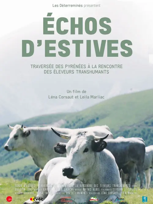 Affiché échos d'estives deux vaches sont au premier plan
