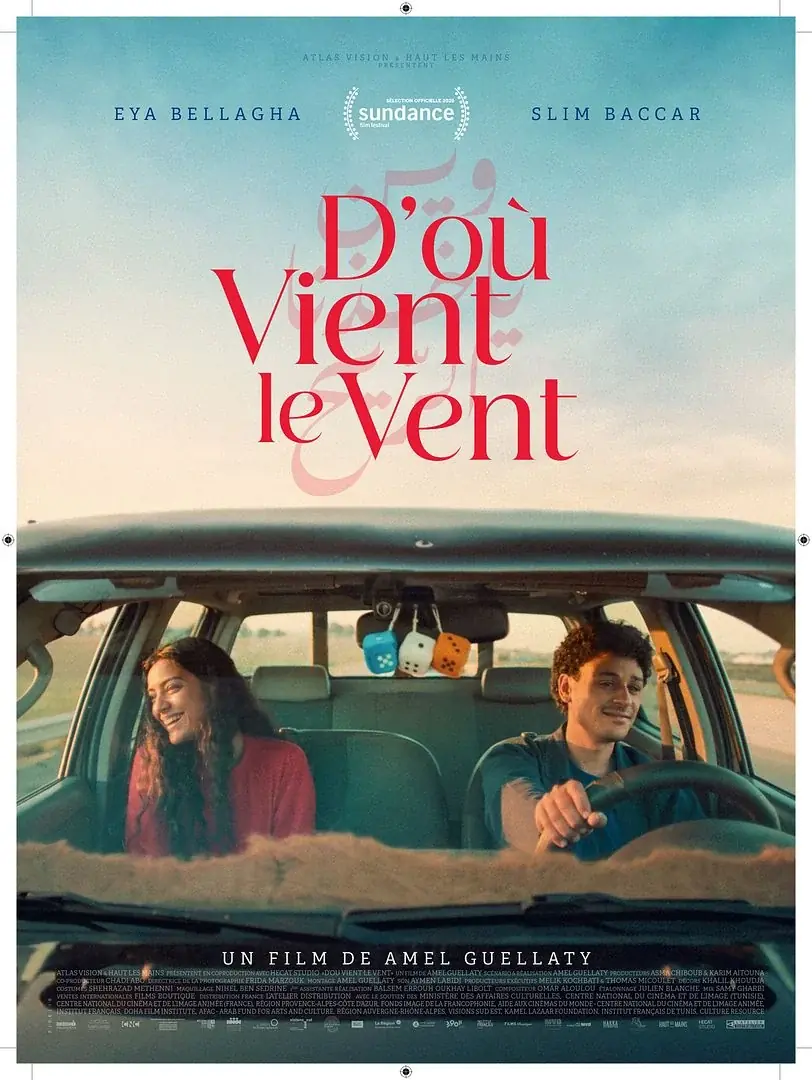 Affiche du film D'où vient le vent