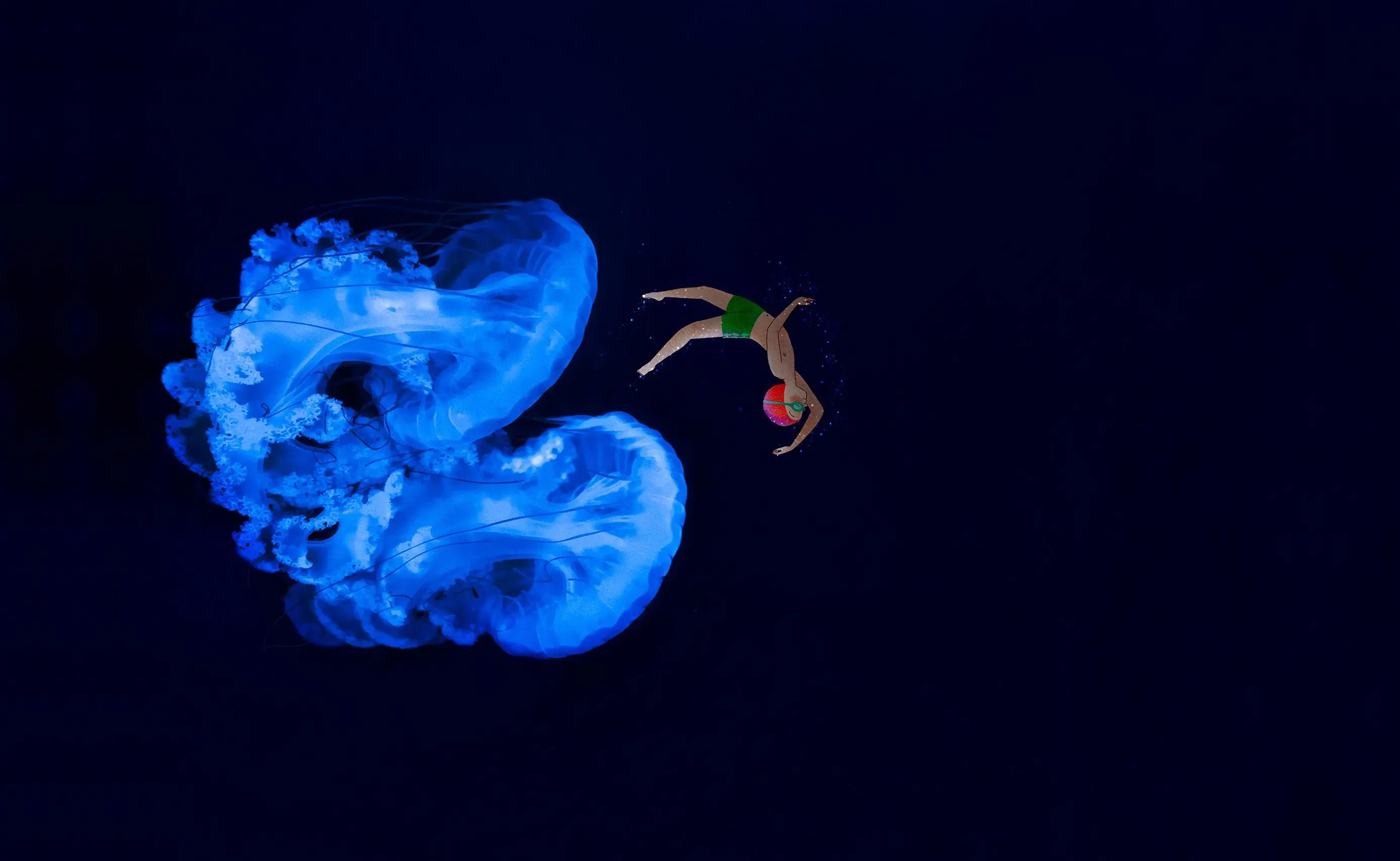 Image de deux méduses et d'un enfant qui nagent