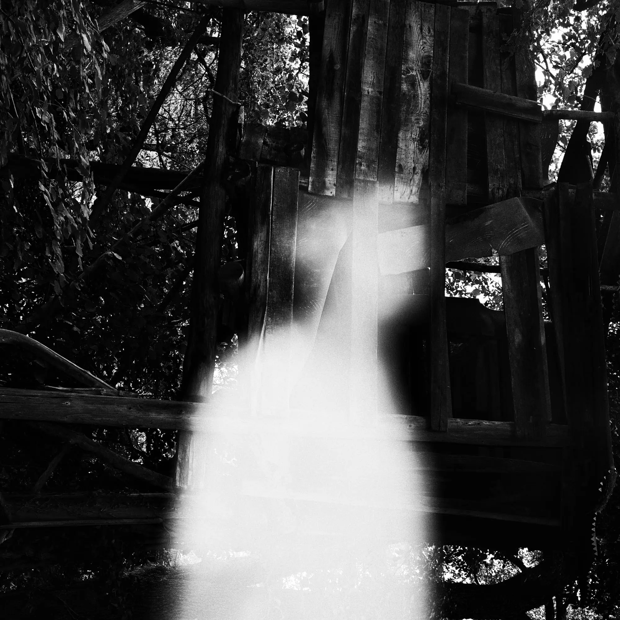 Photographie d'une silhouette blanche avec une foret à l'arrière