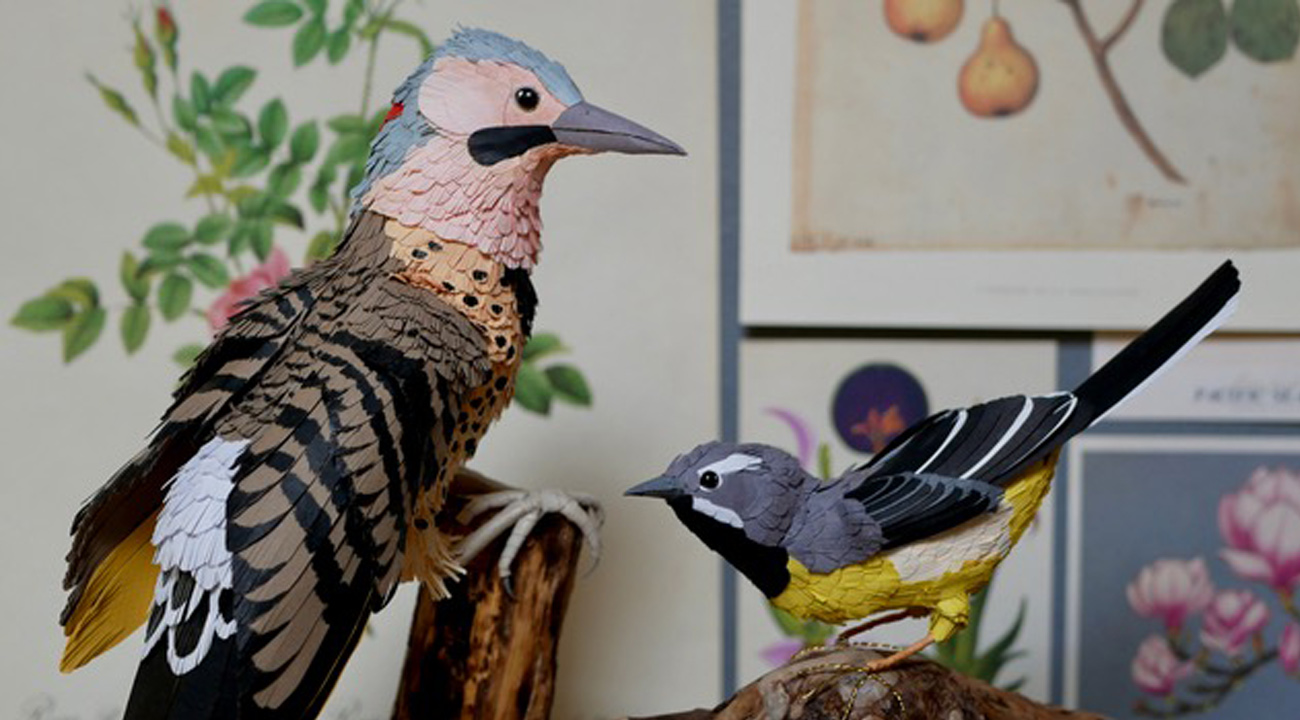 Pic Flamboyant et bergeronette oiseaux en papier Ebaki Paper Maeva Collet