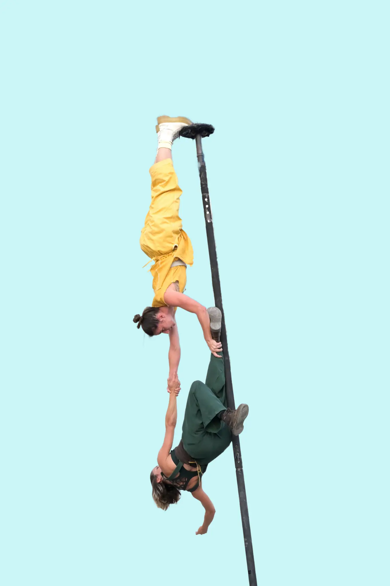acrobates
